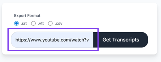 Step 1: Paste YouTube URL